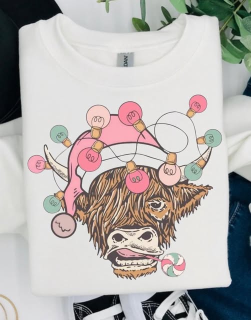 Christmas Lights Highland