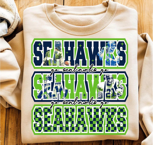 Go Seahawks Go