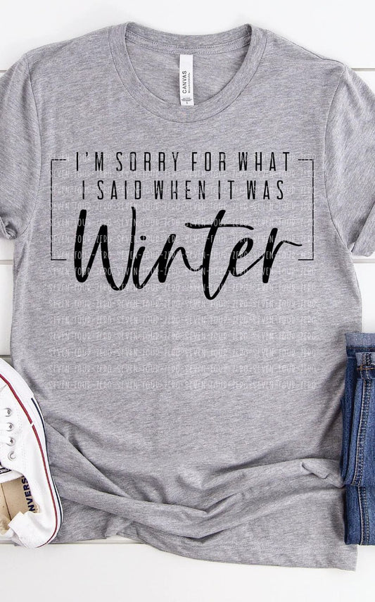 I'm Sorry For What I Said When It Was Winter