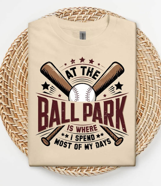 At the Ballpark