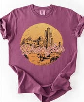 Wrangler Desert