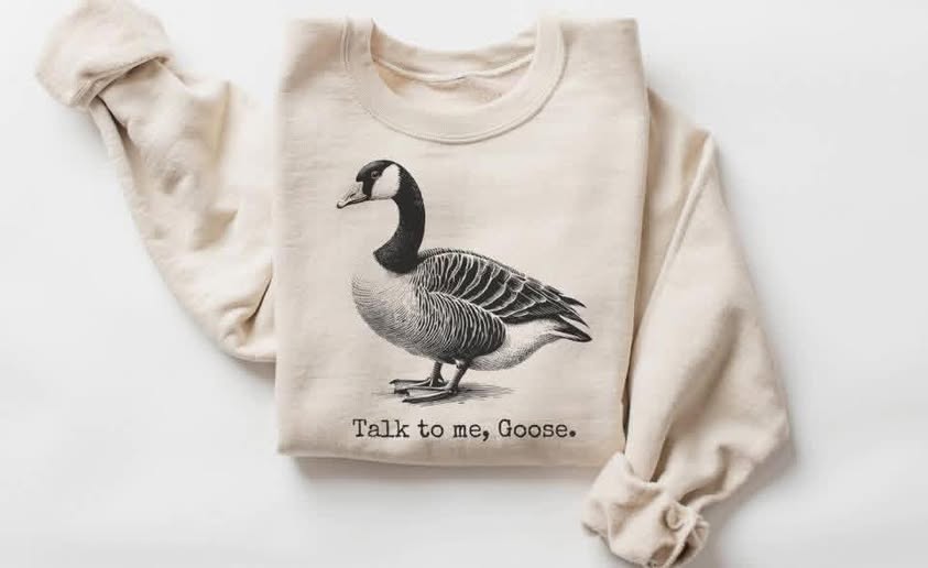 Talk to me, Goose