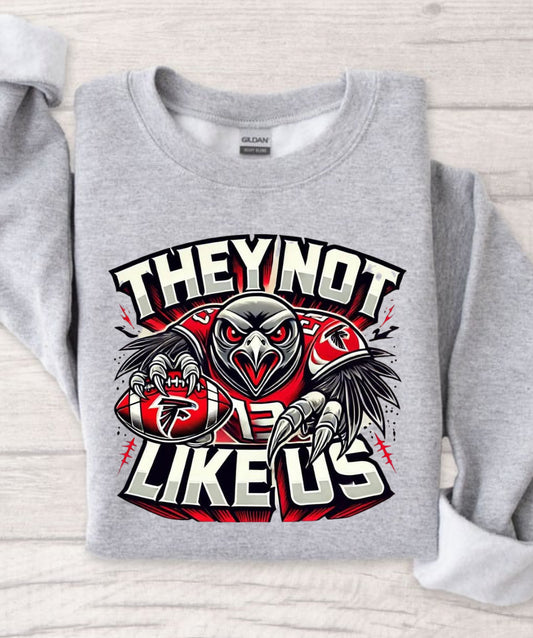 Falcons They Not Like Us
