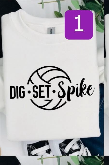 Dig Set Spike