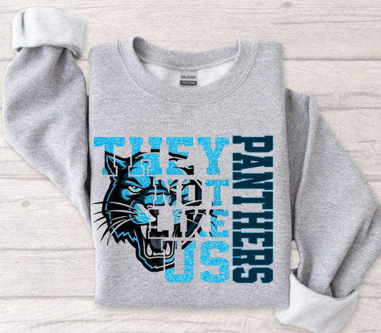 They Not Like Us Carolina Panthers