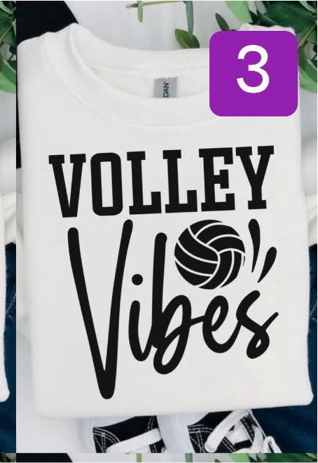 Volley Vibes