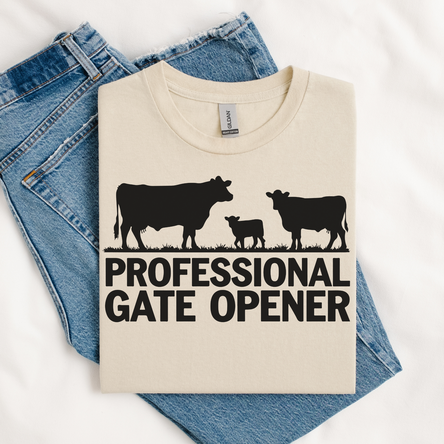 Gate Opener