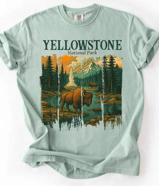 Yellowstone Spilt
