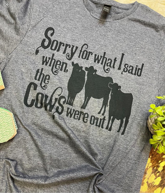 Sorry for What I Said When The Cows