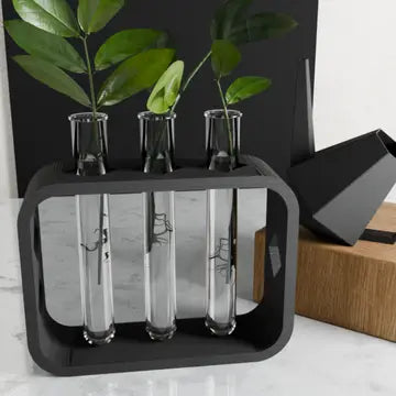 Propagation Station 3 starts